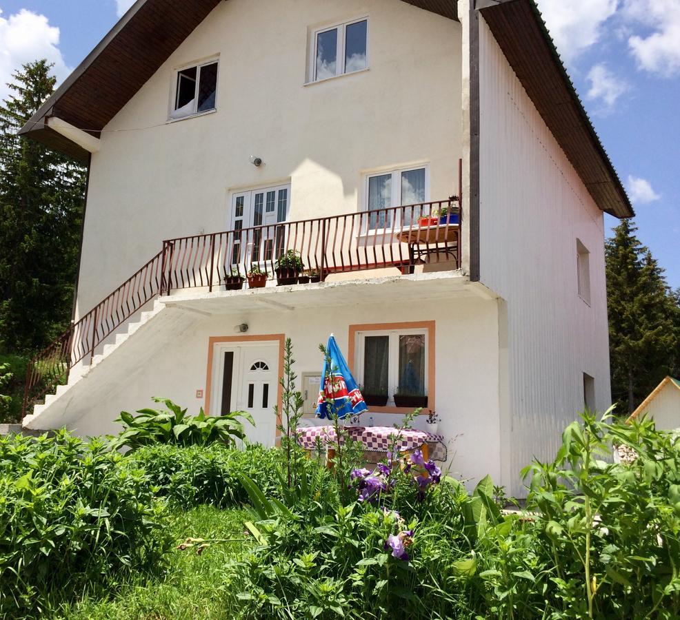 Aprartman Nikola Apartment Zabljak  Ngoại thất bức ảnh